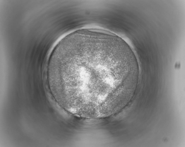 X0000093121008200710241258