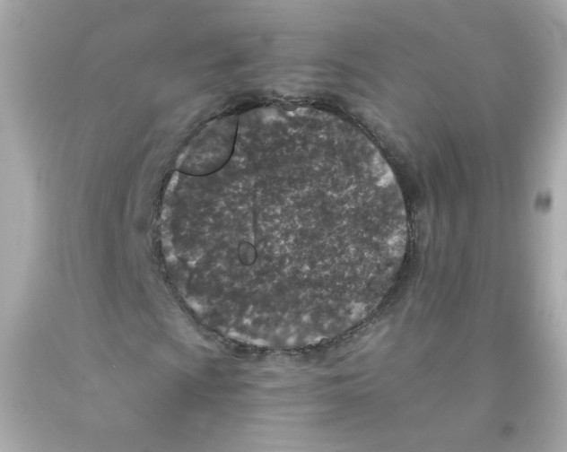 X0000093121009200710241258