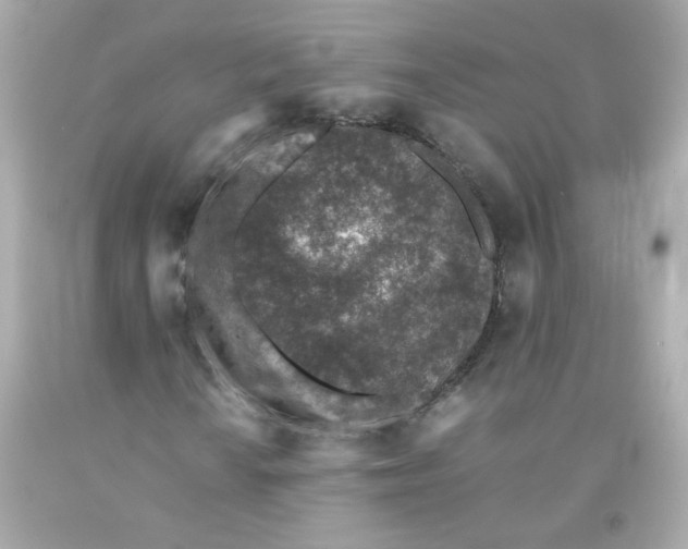 X0000093121010200710241258