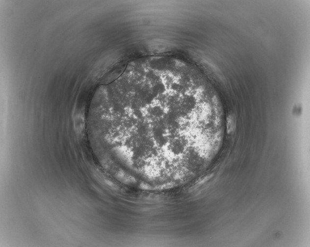 X0000093121011200710241258