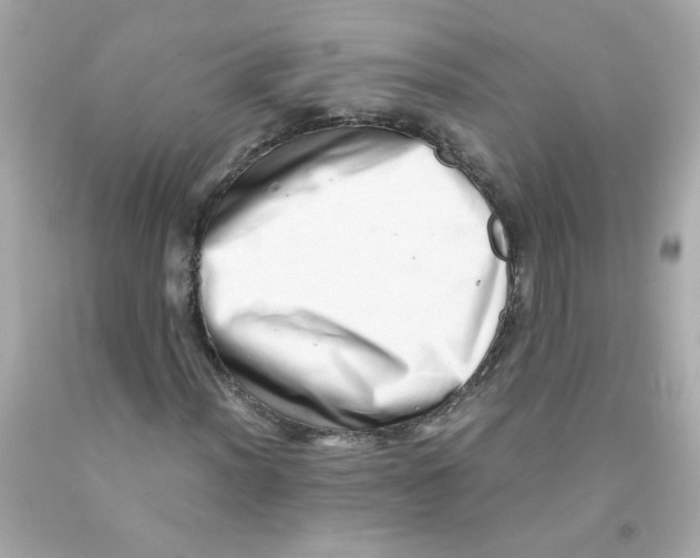 X0000093121012200710241258