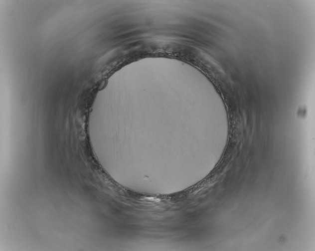 X0000093121013200710241258