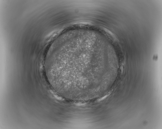 X0000093121014200710241258