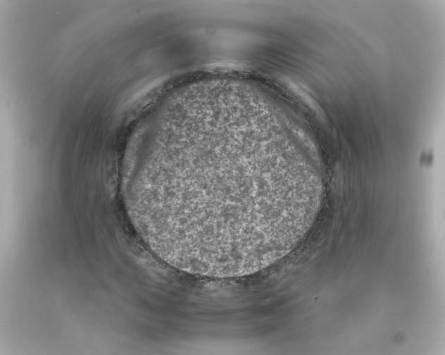 X0000093121015200710241258