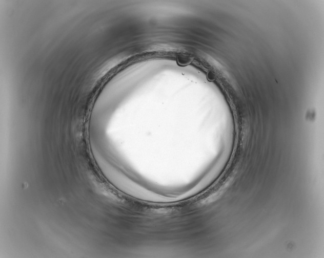 X0000093121017200710241258