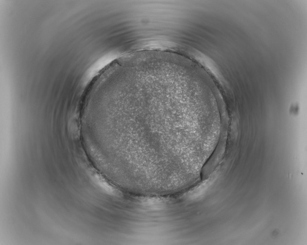 X0000093121018200710241258