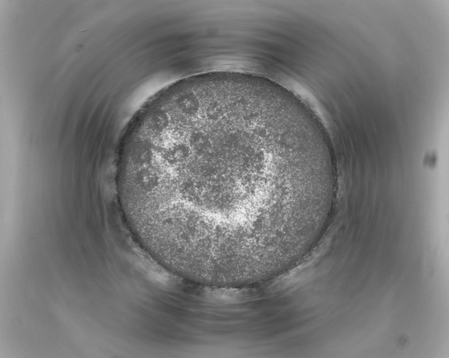 X0000093121019200710241258