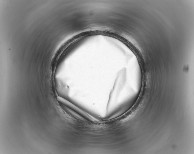 X0000093121021200710241258