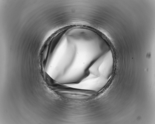 X0000093121022200710241258