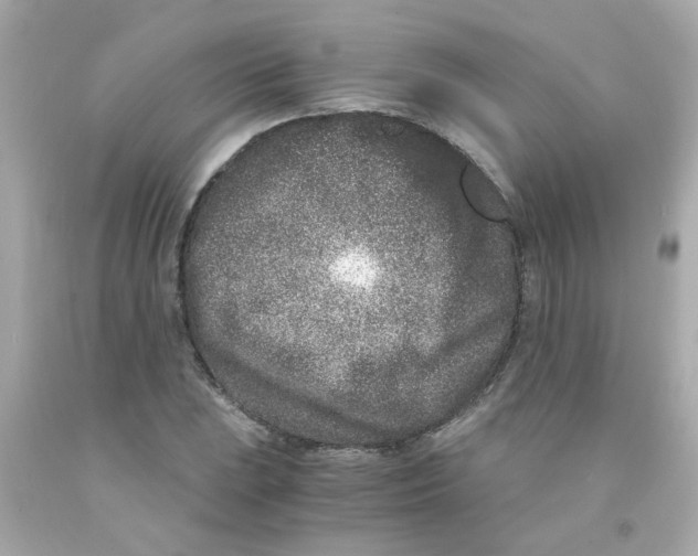 X0000093121023200710241258