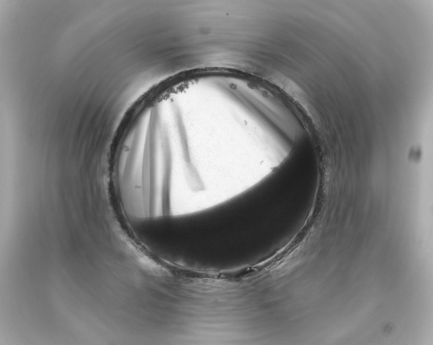 X0000093121024200710241258