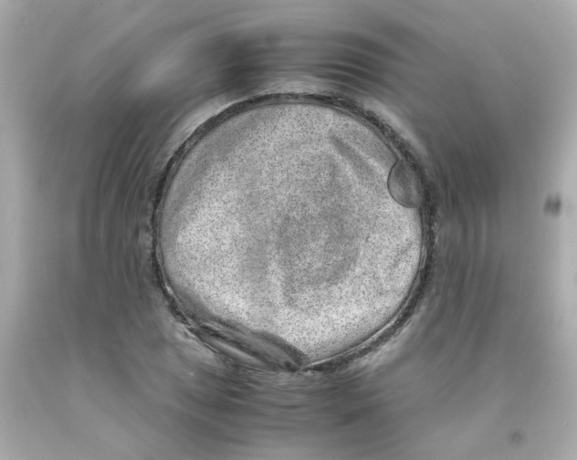 X0000093121025200710241258