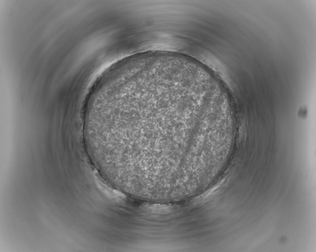 X0000093121027200710241258