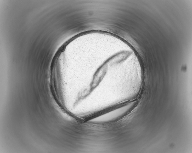 X0000093121028200710241258