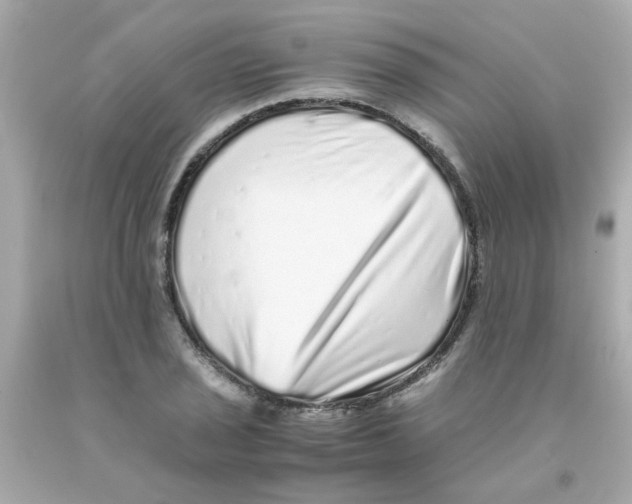 X0000093121029200710241258