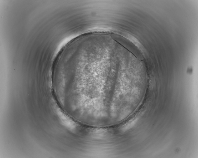 X0000093121030200710241258