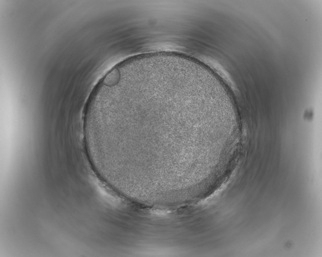 X0000093121031200710241258