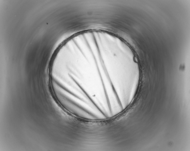 X0000093121032200710241258