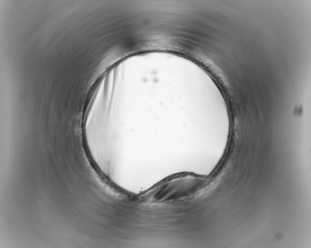 X0000093121033200710241258