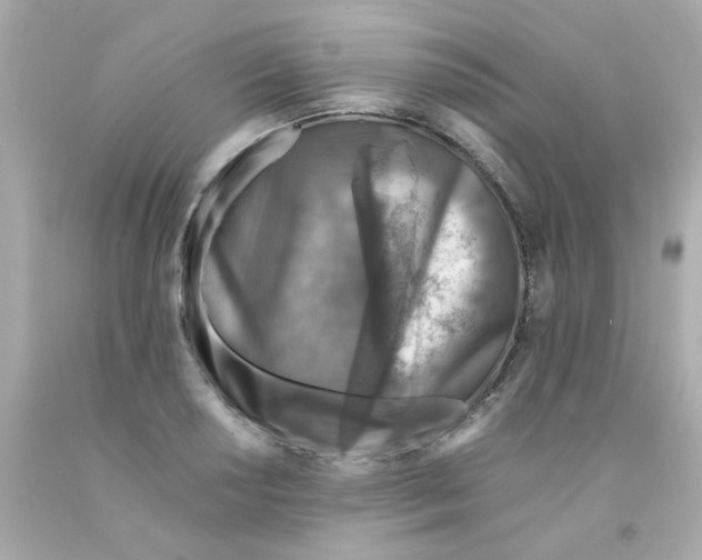 X0000093121034200710241258