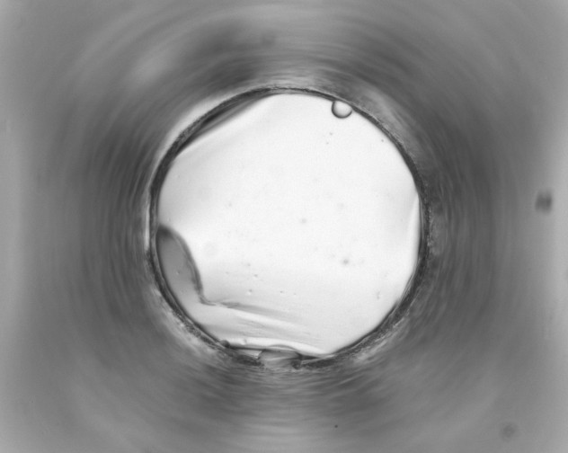 X0000093121036200710241258