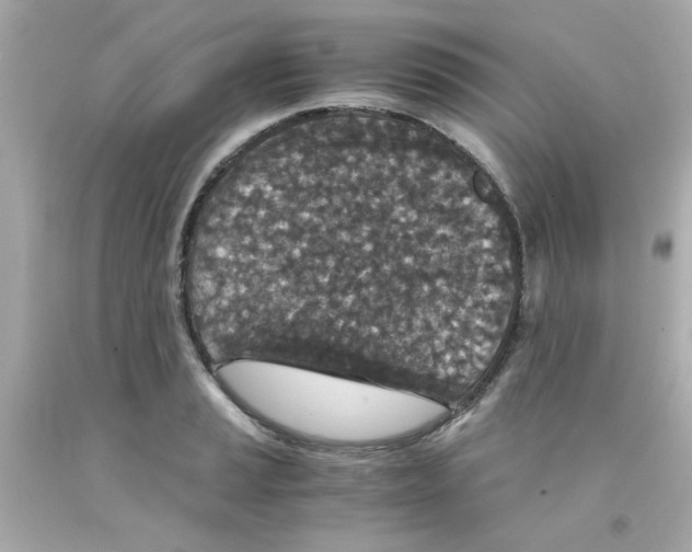 X0000093121037200710241258