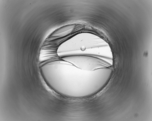 X0000093121038200710241258