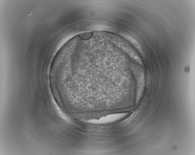 X0000093121039200710241258