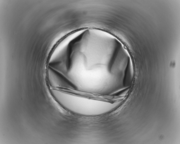 X0000093121040200710241258