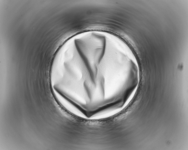 X0000093121041200710241258