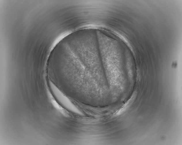 X0000093121042200710241258