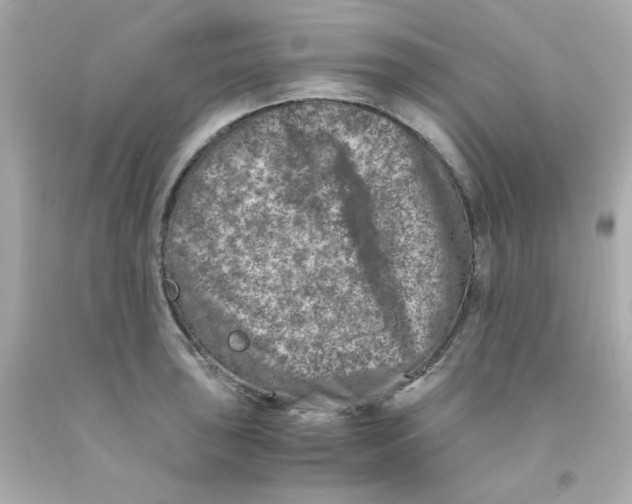 X0000093121043200710241258