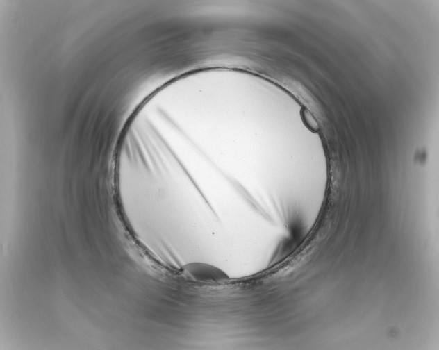 X0000093121044200710241258