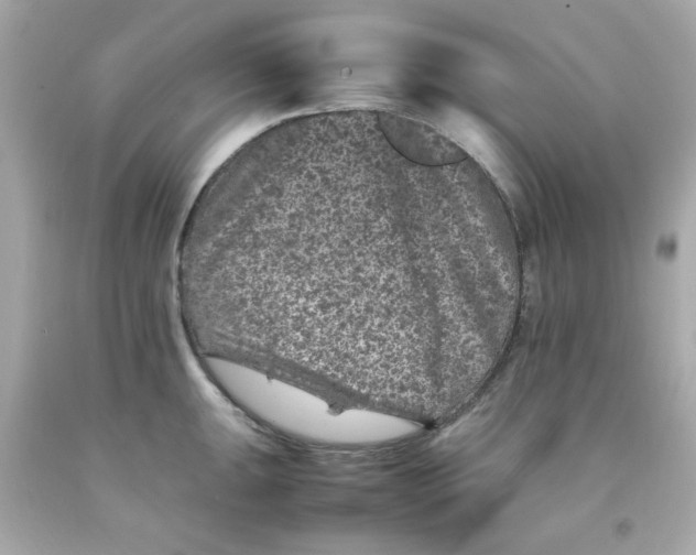 X0000093121047200710241258