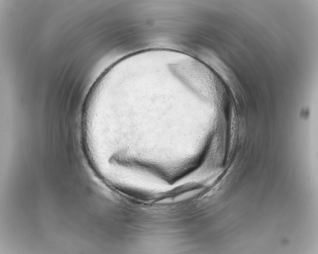 X0000093121048200710241258