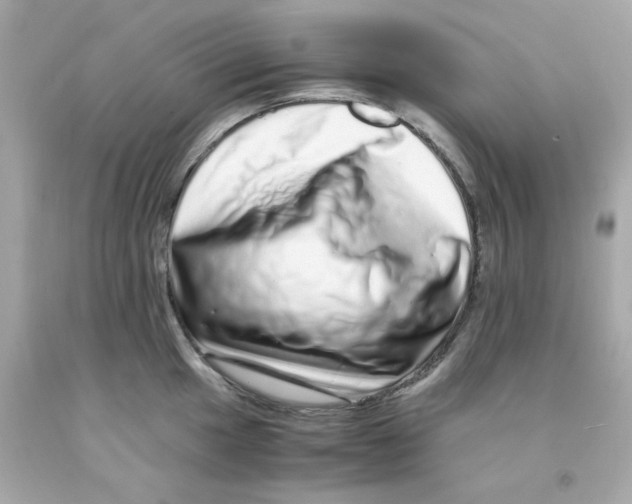 X0000093121049200710241258