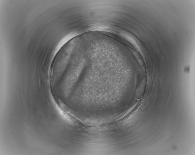 X0000093121050200710241258