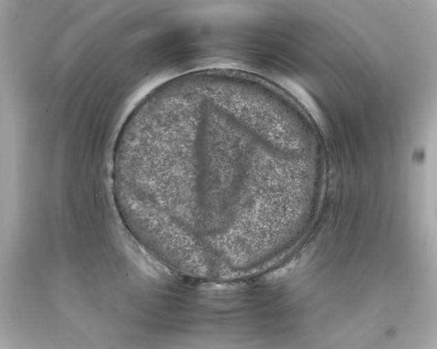 X0000093121051200710241258