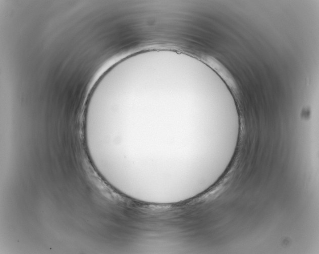 X0000093121052200710241258