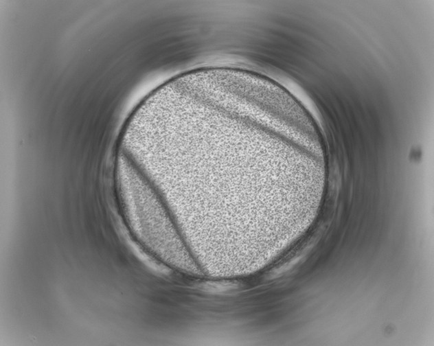 X0000093121053200710241258