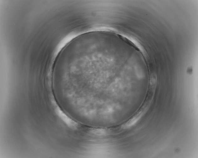 X0000093121054200710241258