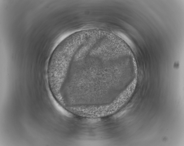 X0000093121055200710241258