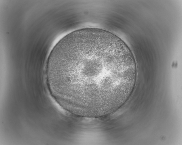 X0000093121056200710241258