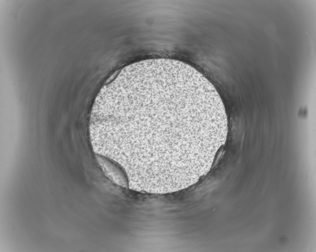 X0000093121057200710241258