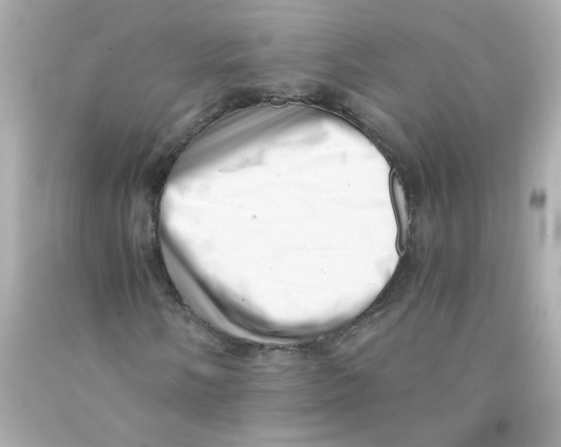 X0000093121058200710241258