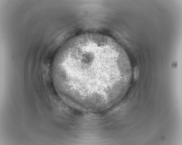 X0000093121059200710241258