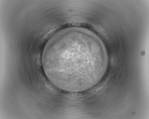 X0000093121060200710241258