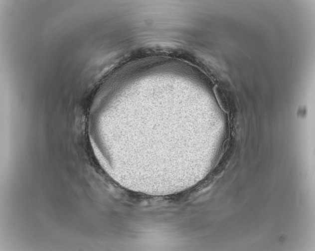 X0000093121061200710241258