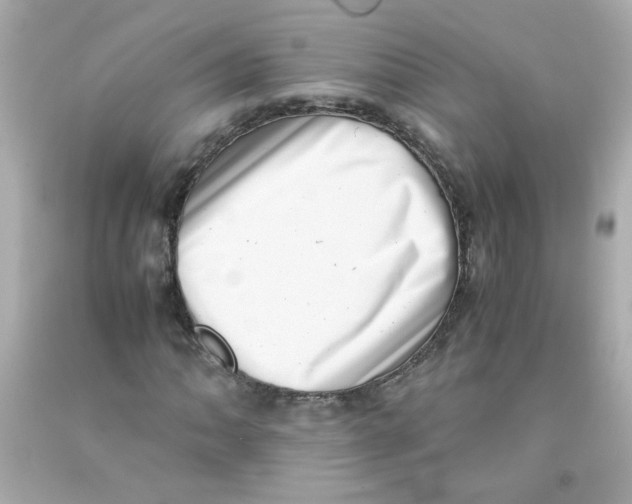 X0000093121062200710241258