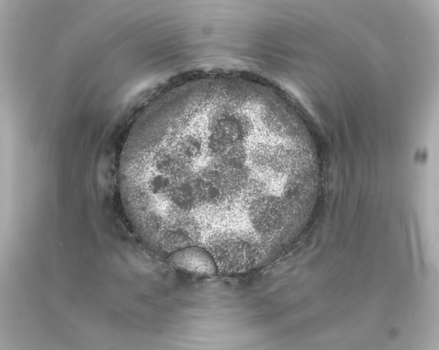 X0000093121063200710241258